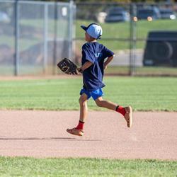 Baseball Day in Brampton